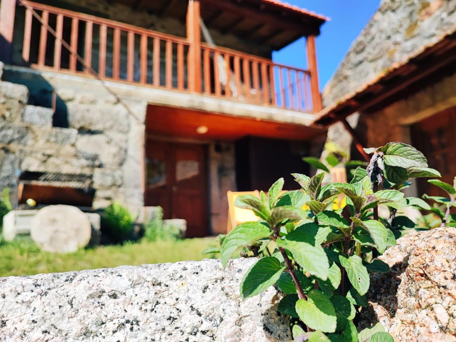 Vila Casa Boletus Castro Laboreiro Exteriér fotografie